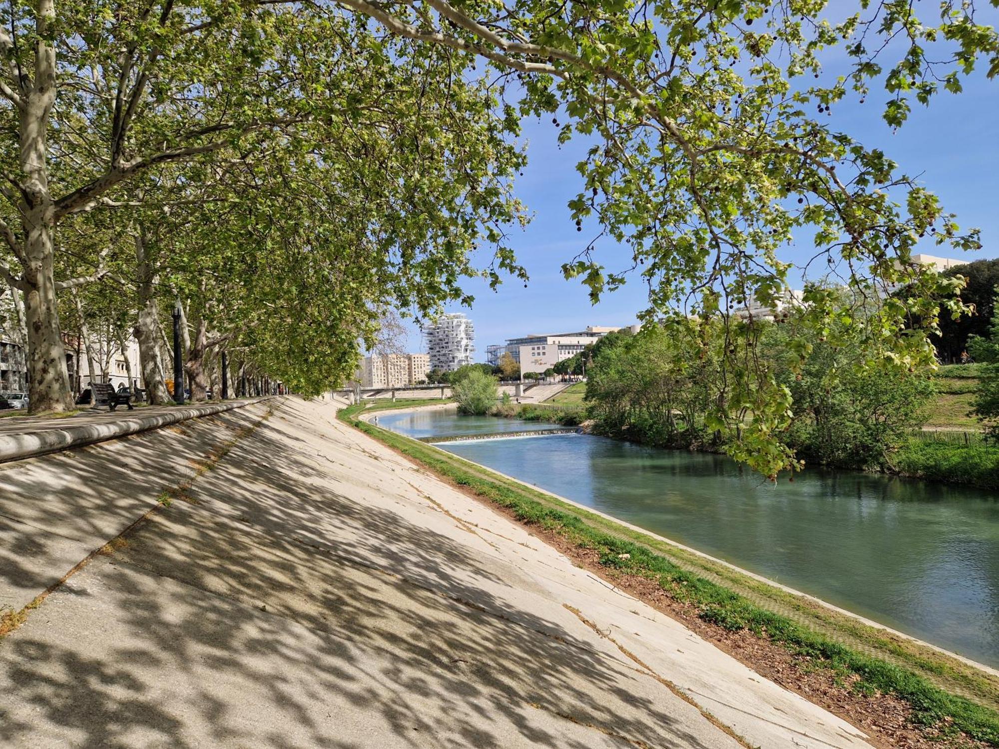 Appartement Avec Vue Sur Le Lez Montpellier Zewnętrze zdjęcie